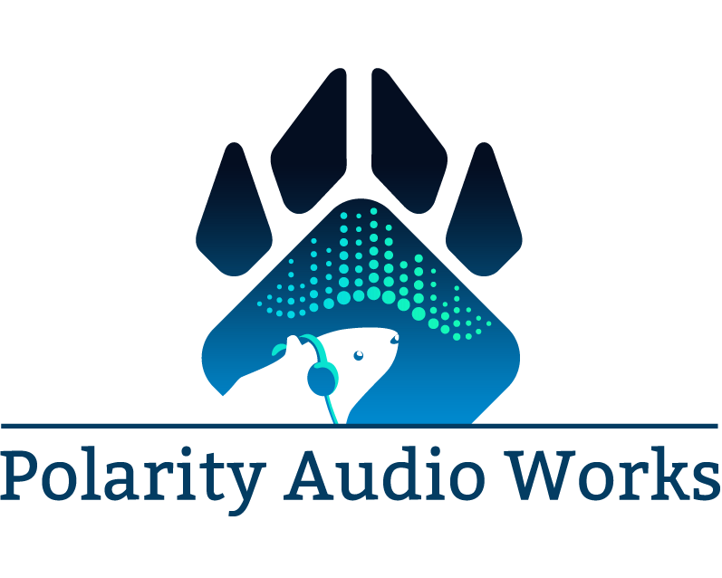 Polarity Audio Works